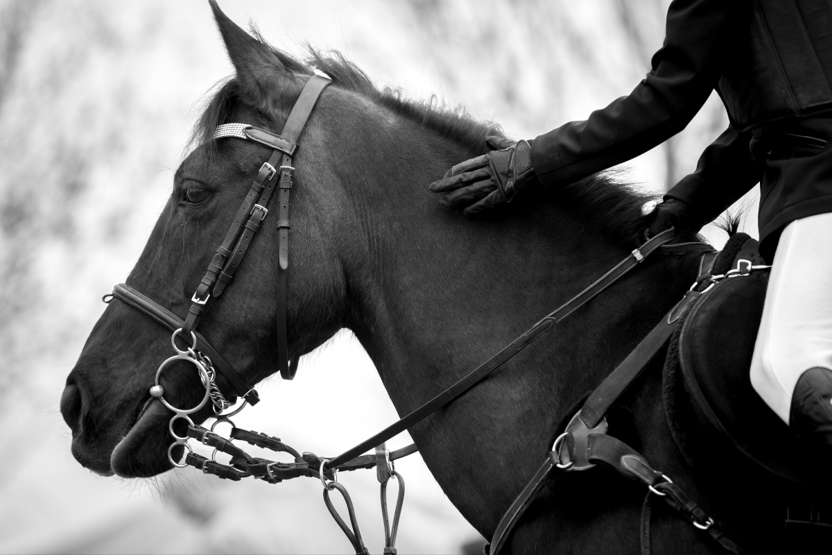 Manège — Kapadokya Atlı Spor Kulübü